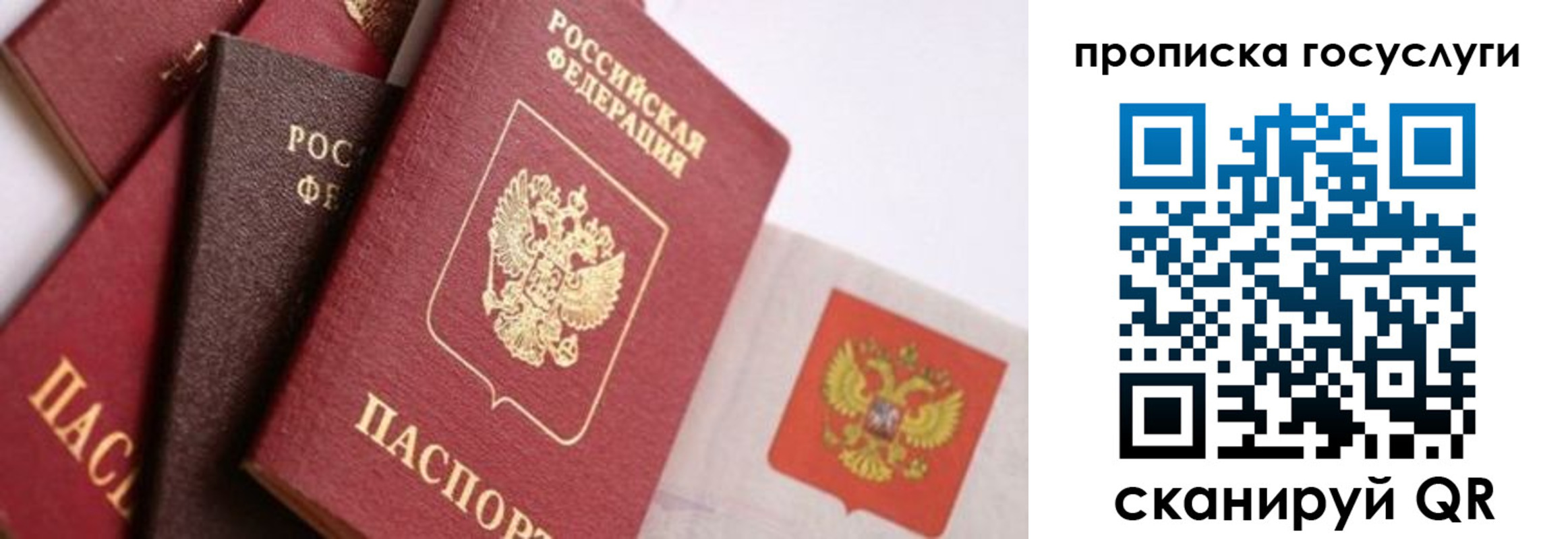 прописка законно в Бокситогорске